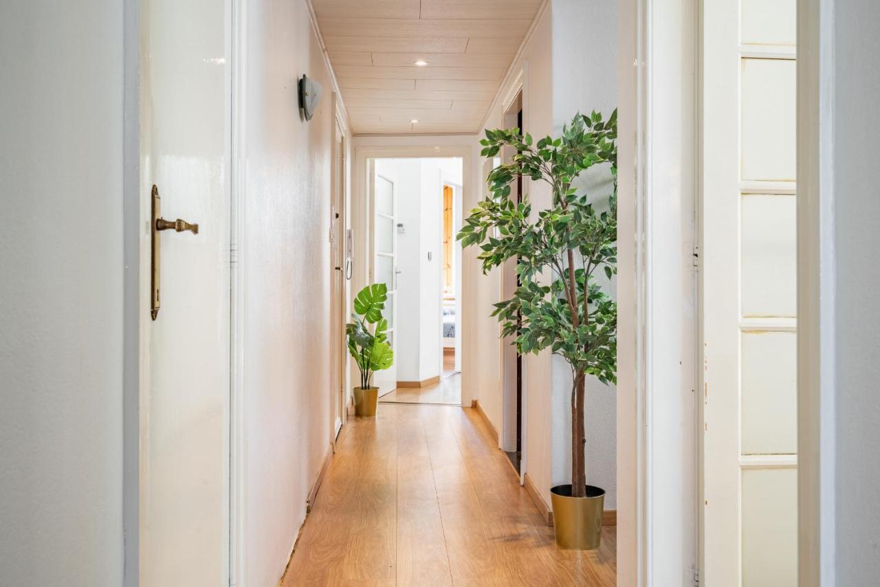 Apartment Large Center